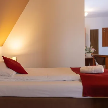 Czerwone Wierchy - Przy Stoku Narciarskim - Sauna I Jacuzzi Wliczone W Cene Pobytu فندق مبيت وإفطار 3*
