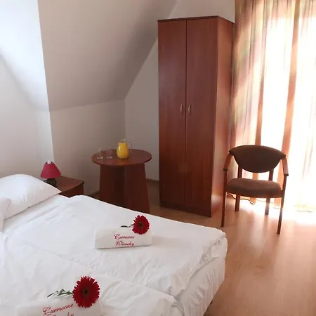 Panzió Czerwone Wierchy - Sauna I Jacuzzi Wliczone W Cene Pobytu! 3*
