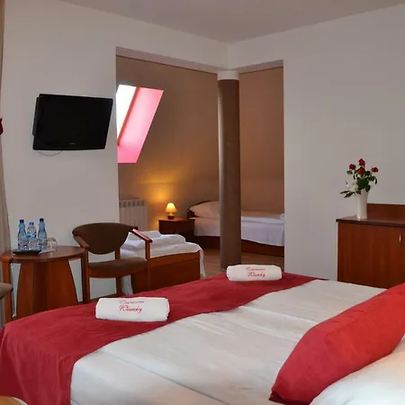 Panzió Czerwone Wierchy - Sauna I Jacuzzi Wliczone W Cene Pobytu!